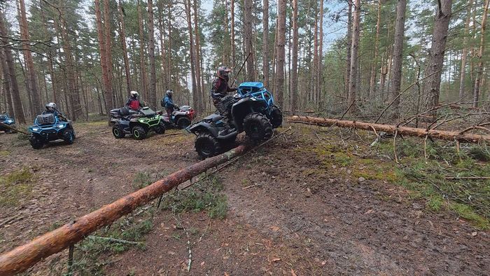 Колонна квадроциклов у поваленного дерева на лесной дороге